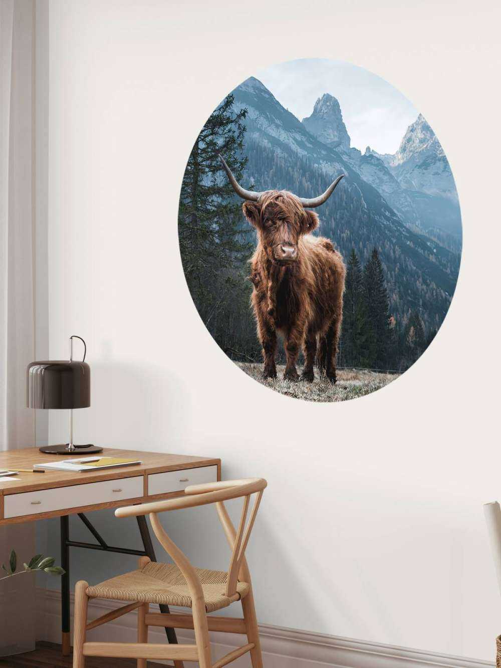 Scottish highlander among the trees