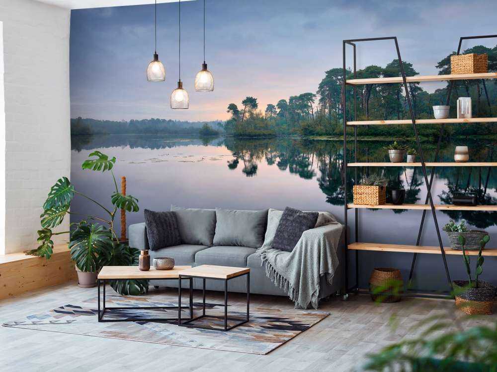 Reflection in forests at sunrise