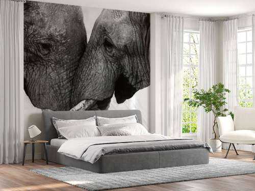 Photo wallpaper elephants
