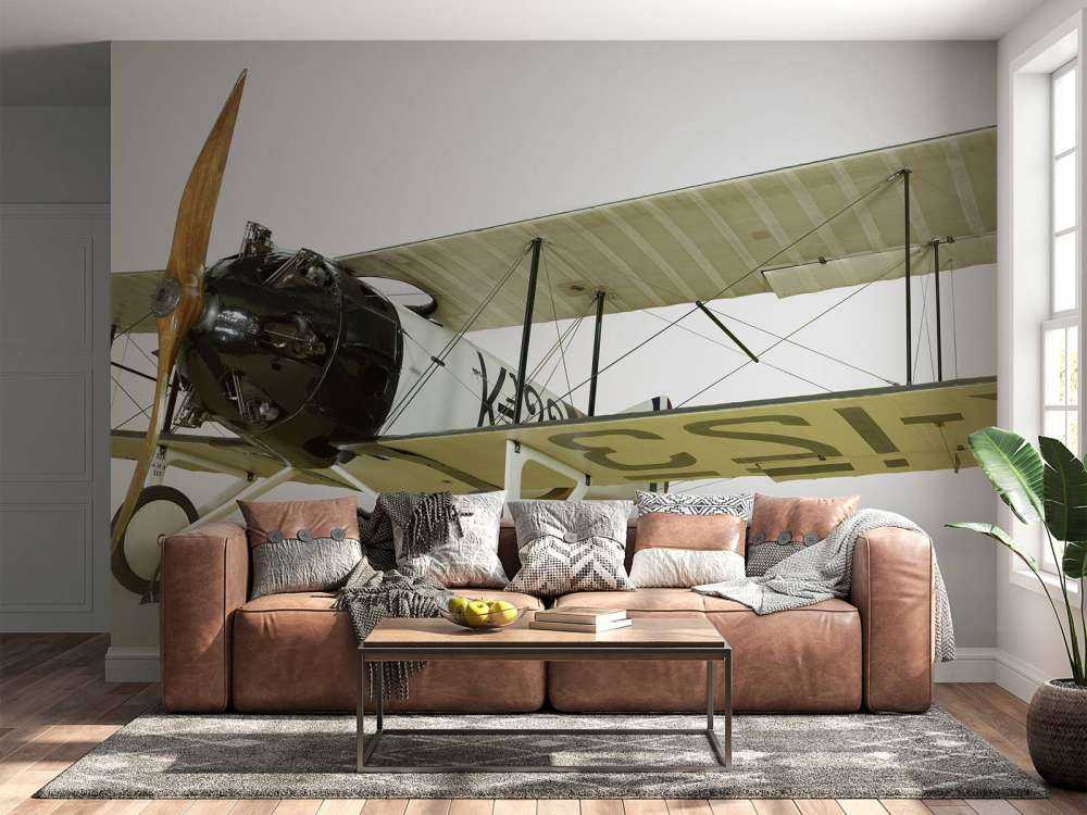 Old plane FK 23 Bantam