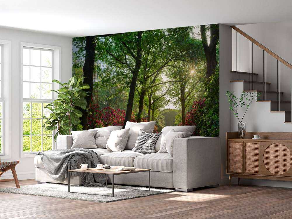 Sunrise at path with rhododendrons