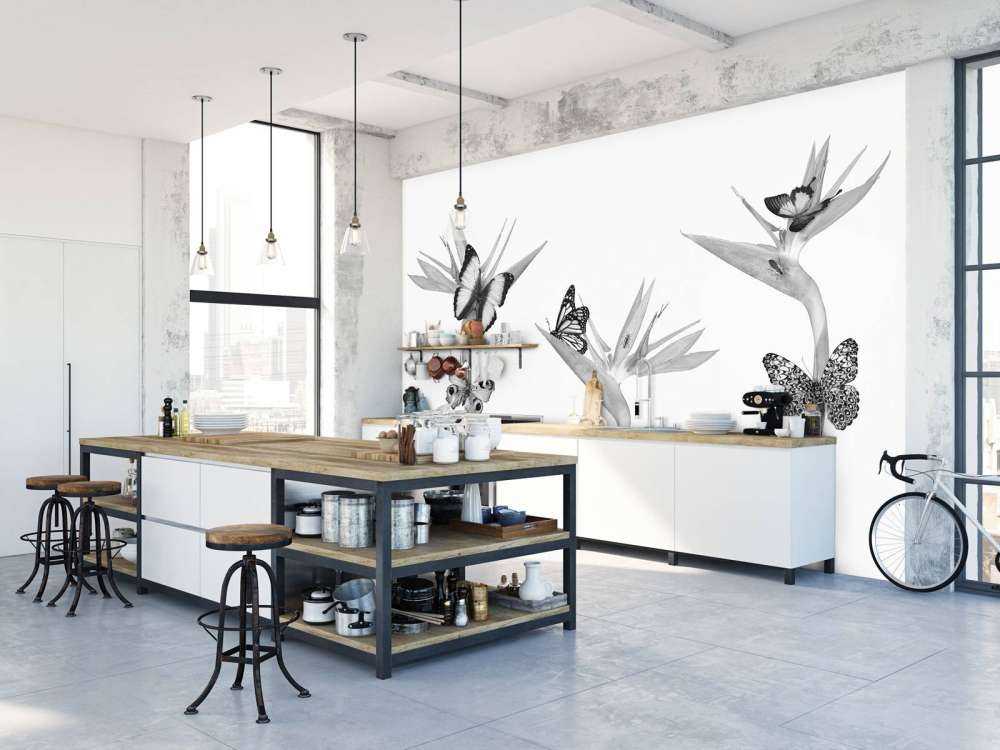 Butterflies on bird of paradise flowers