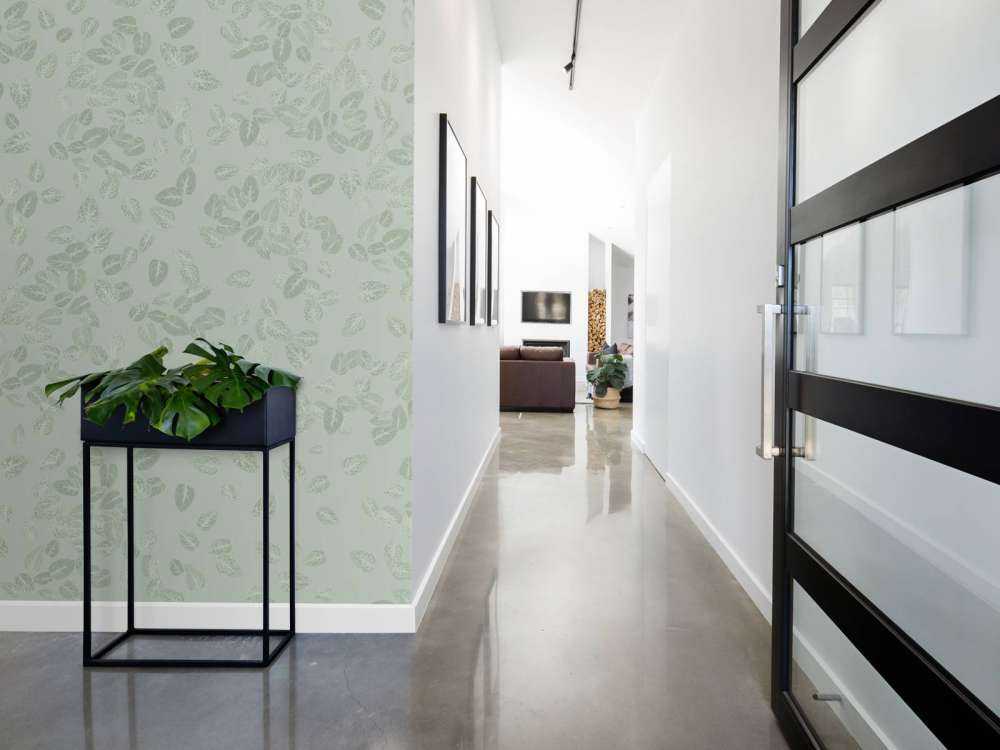 Small leaves on grey green