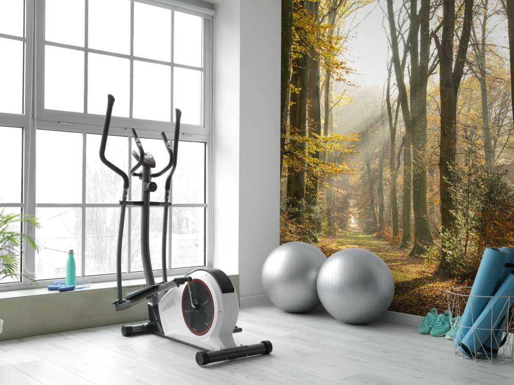 The forest of Crécy