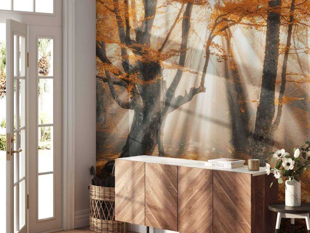 Magical Autumn Forest