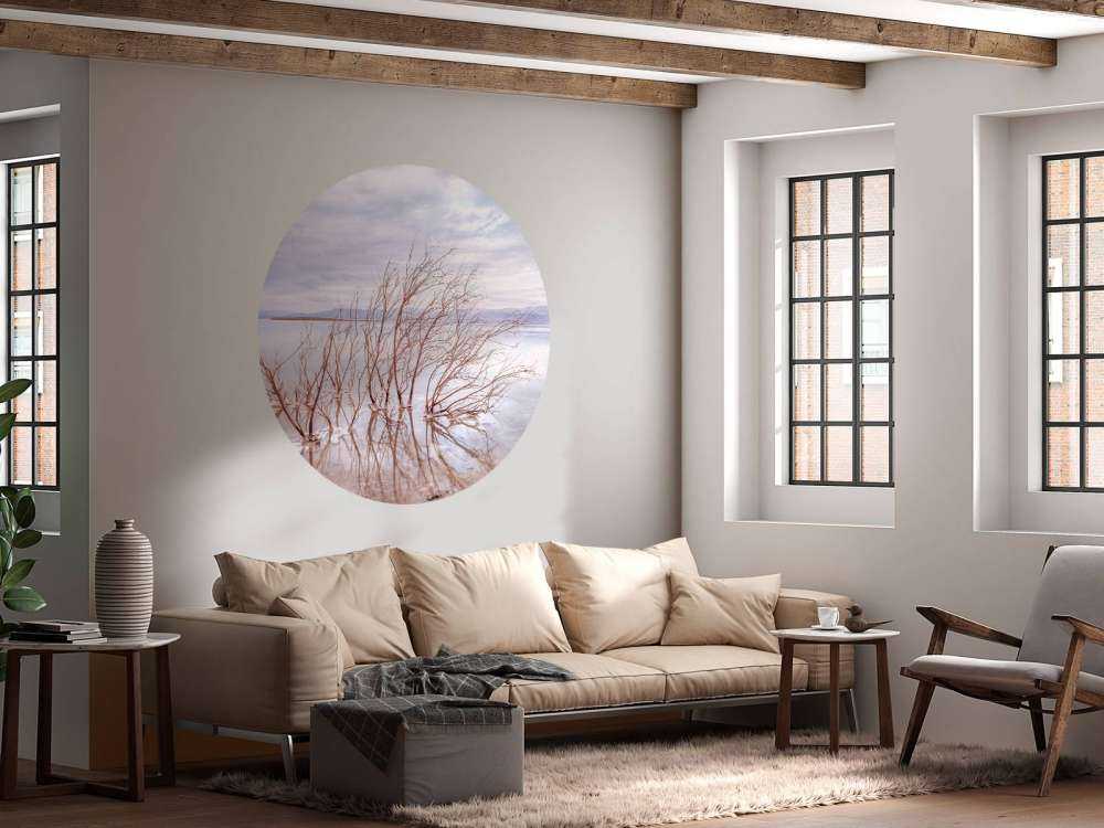 Branches in the Dead Sea