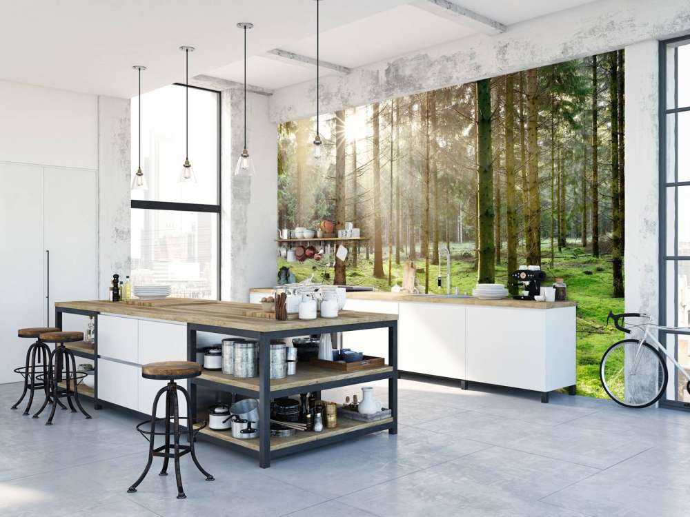 Coniferous forest with moss