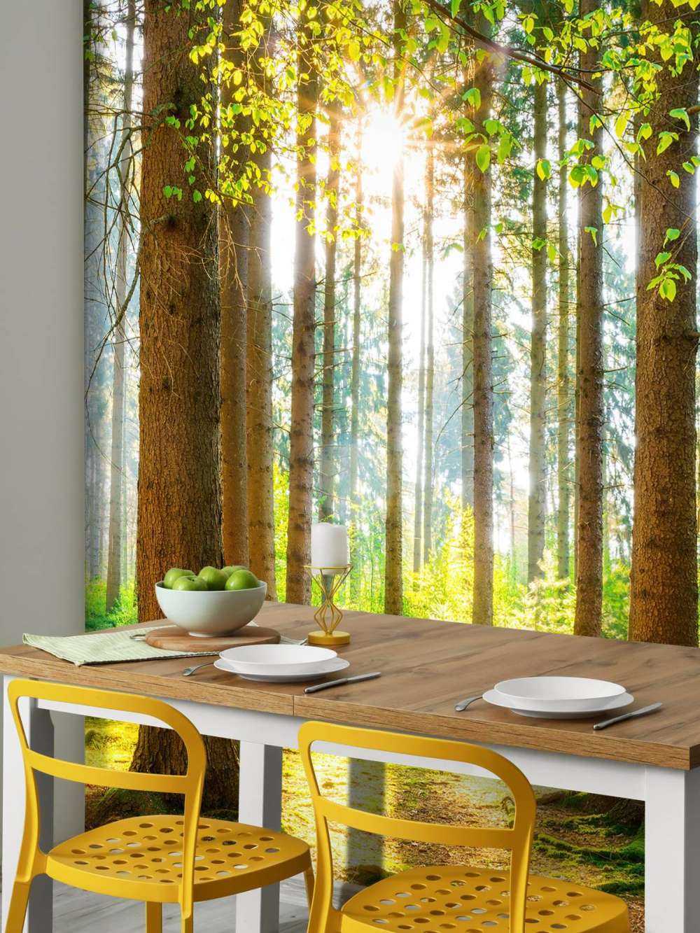 Sunrise in the forest