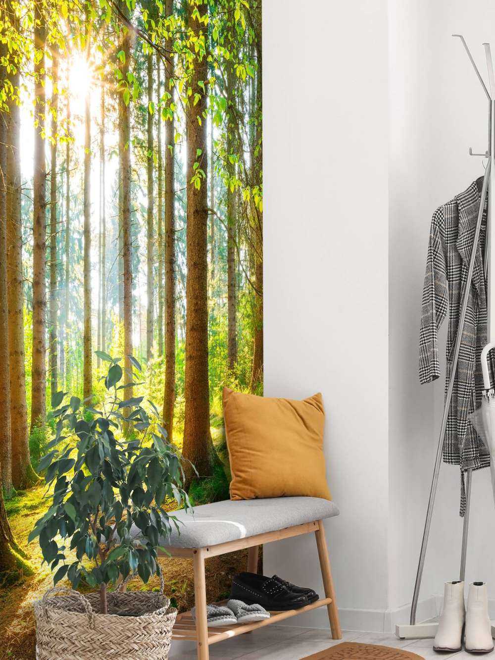 Sunrise in the forest