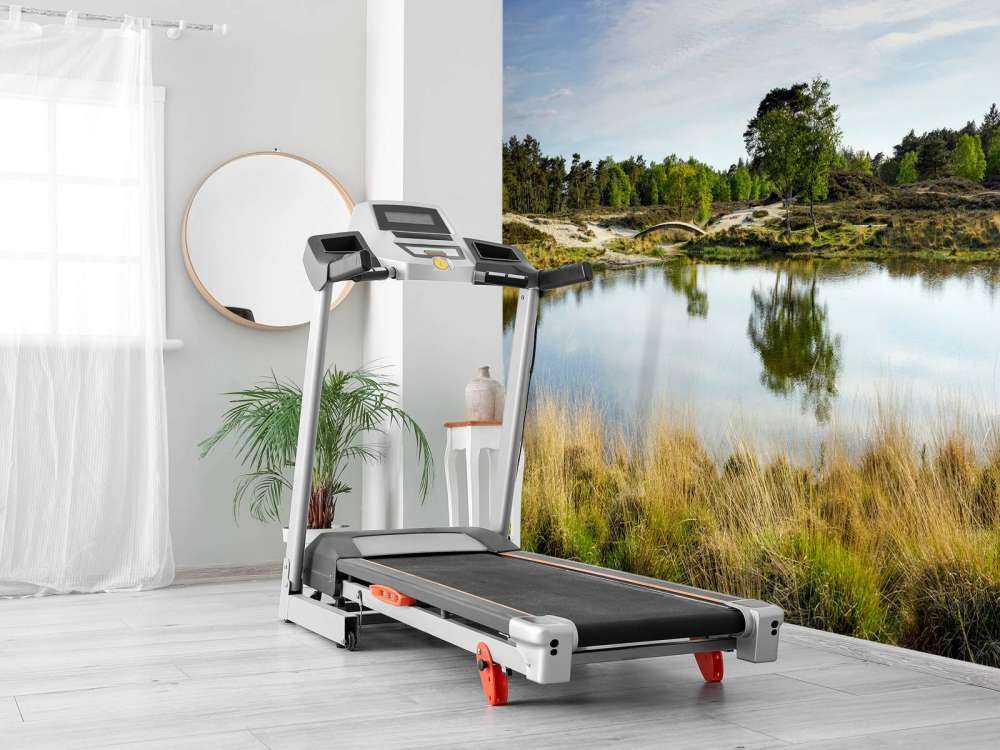 A small forest lake in the heathland area