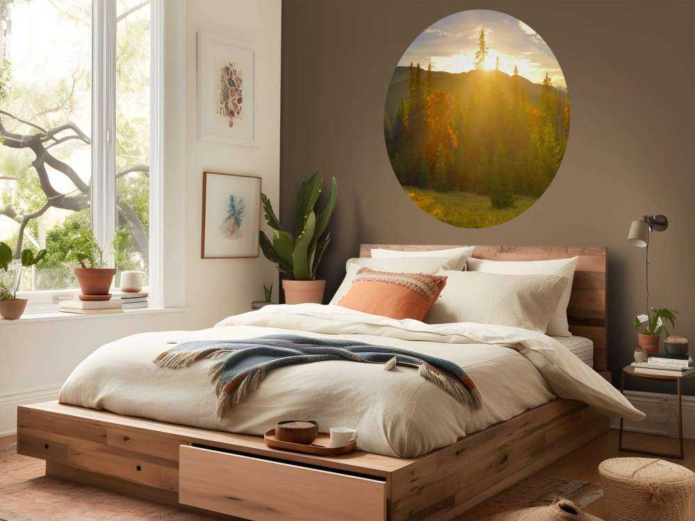 Pine forest panorama