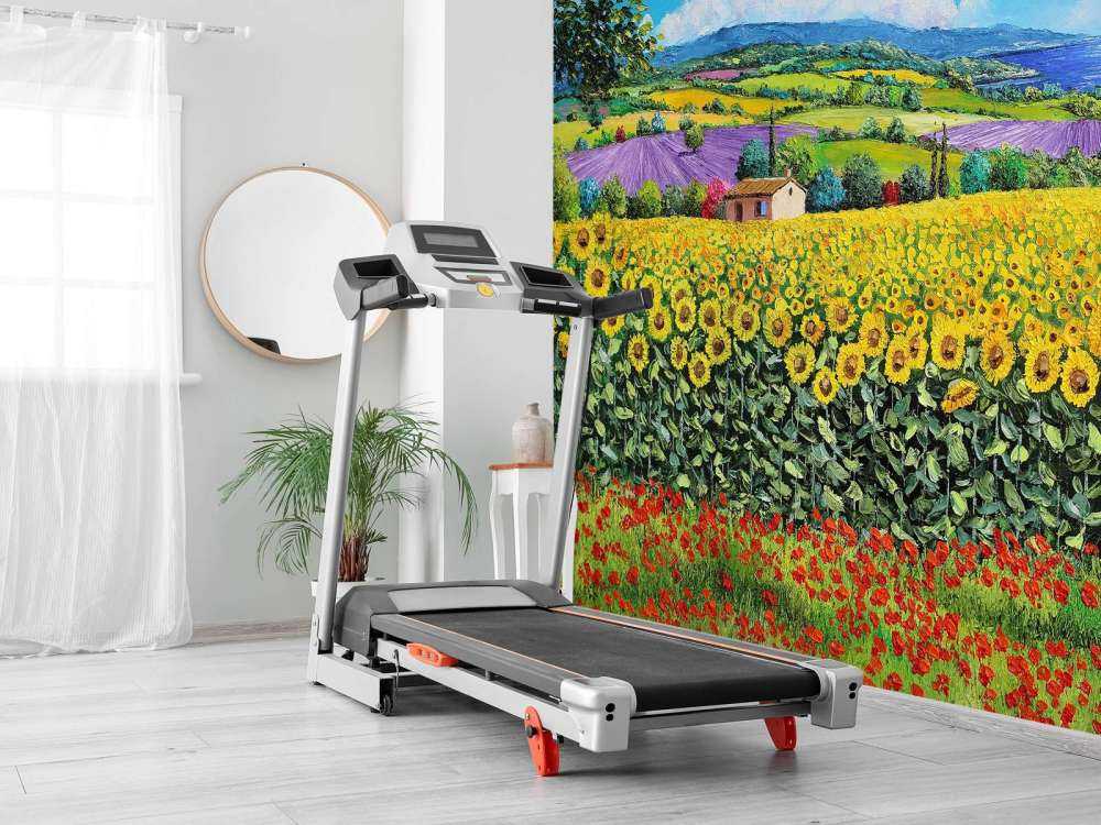 sunflowers, lavender, and sea