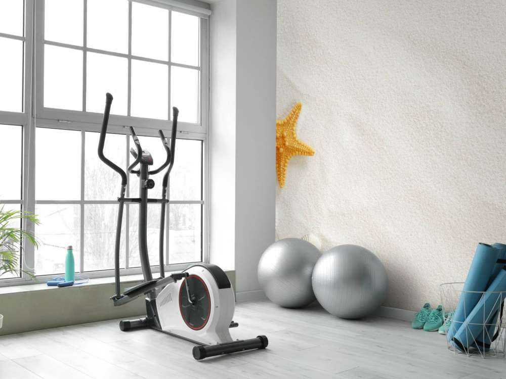 Starfish on white sand