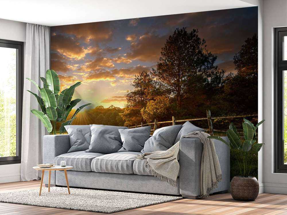 Pasture at sunset