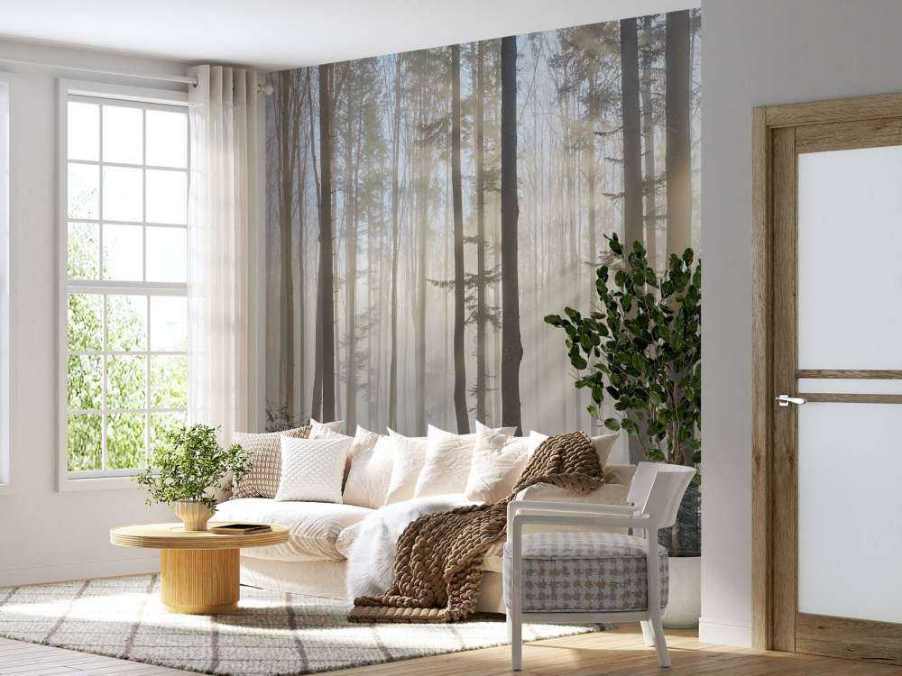 Foggy forest sunrise