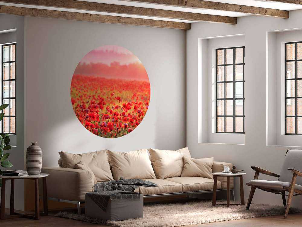 Field full of poppies