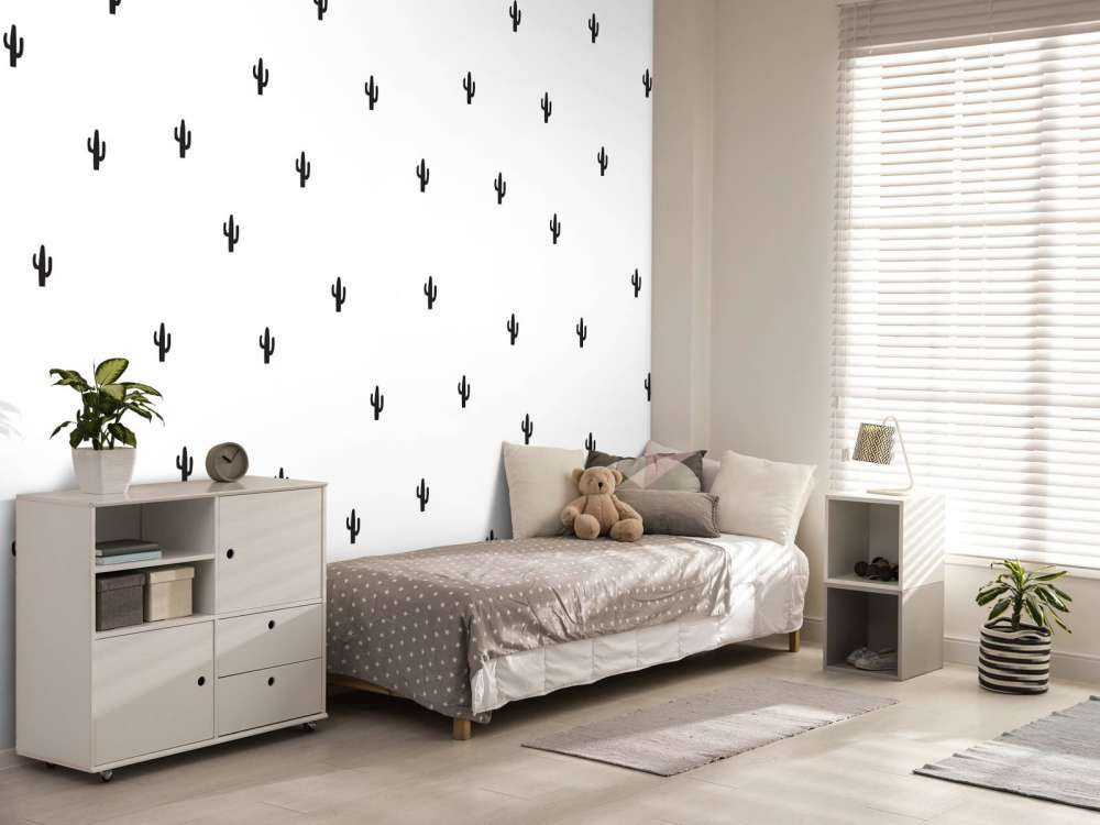 Cacti in black and white