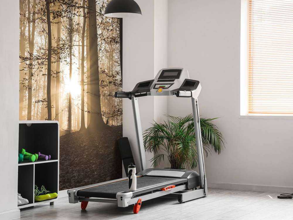 Sunshine in a misty forest