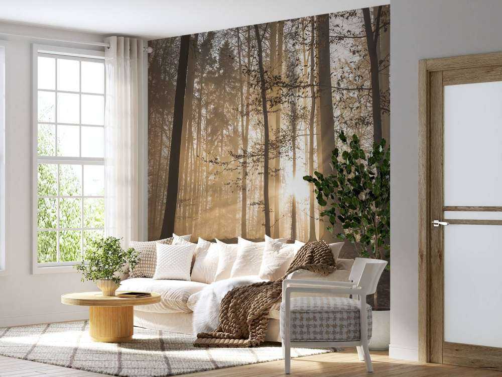 Sunshine in a misty forest