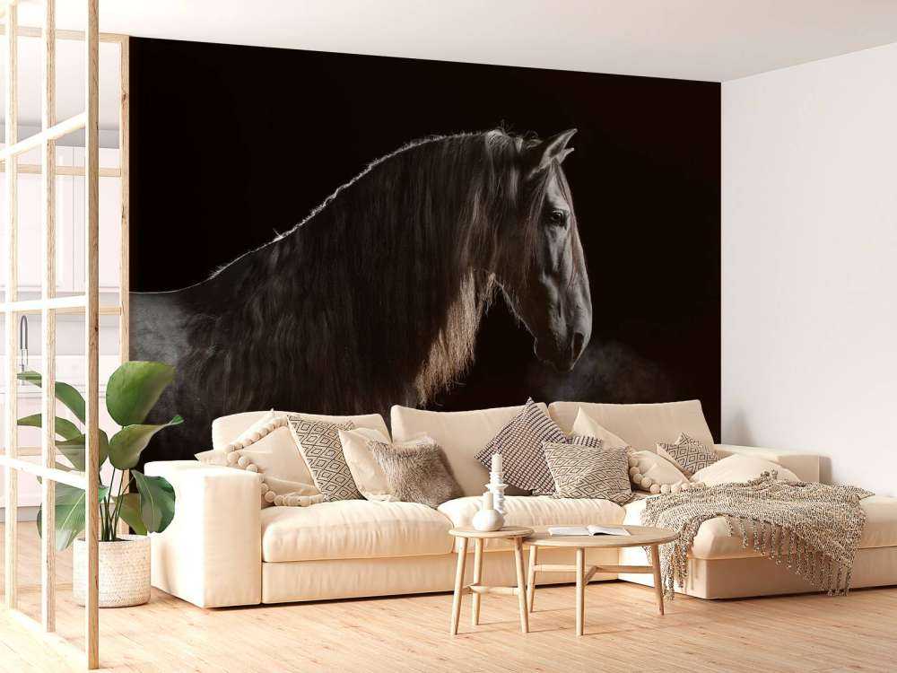 Mould with black background