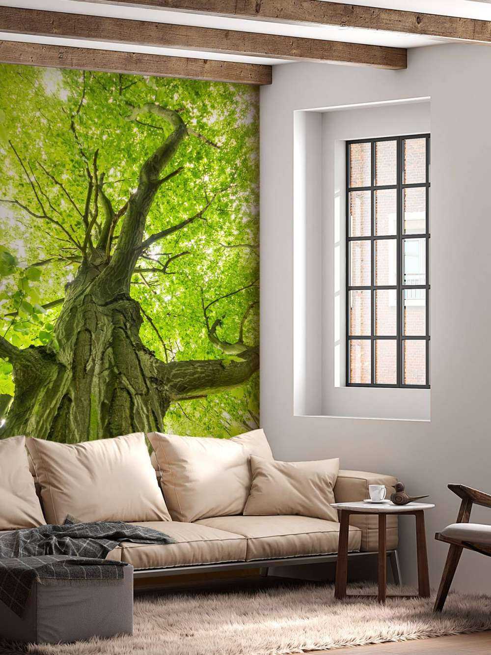 Large tree in the forest