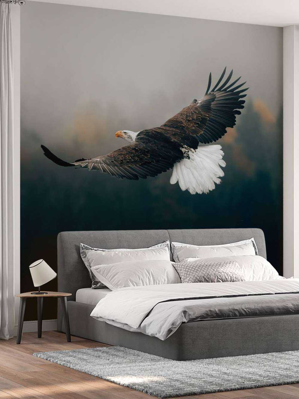 Bald eagle above the forest