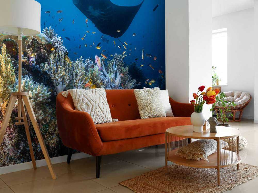 Manta reef on the reef