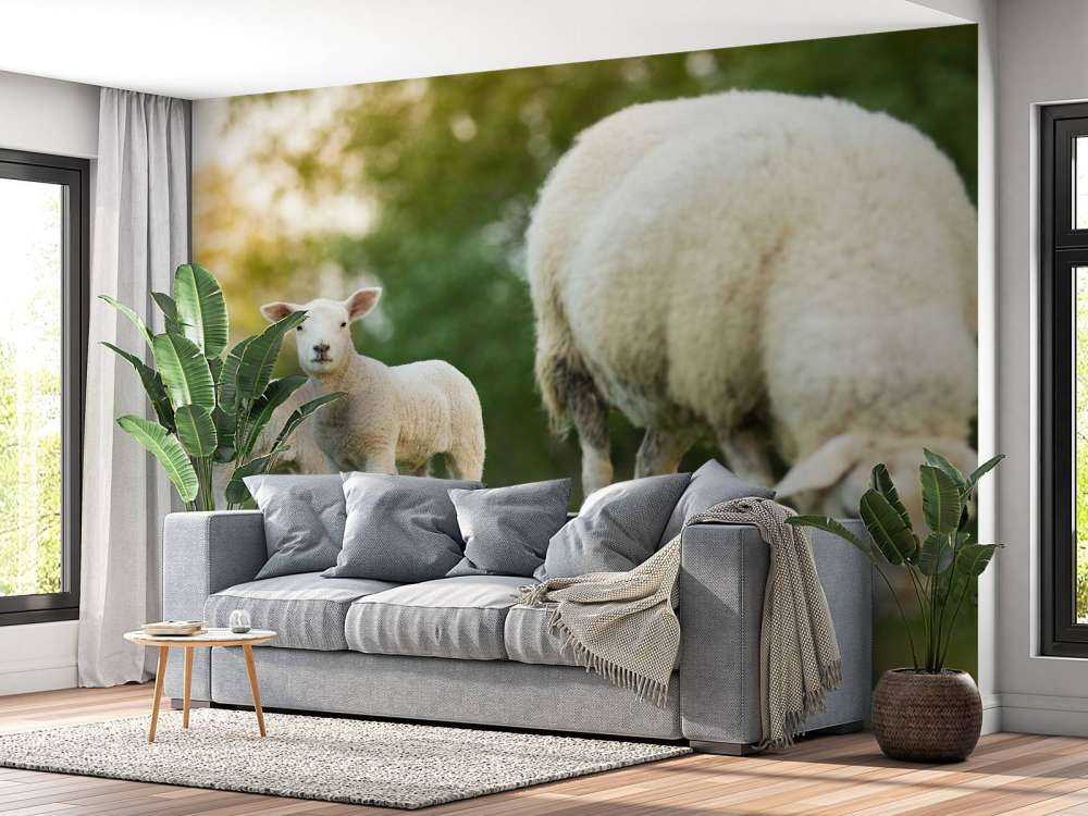 Mother sheep with lambs