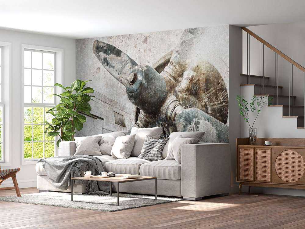 Vintage aeroplane engine