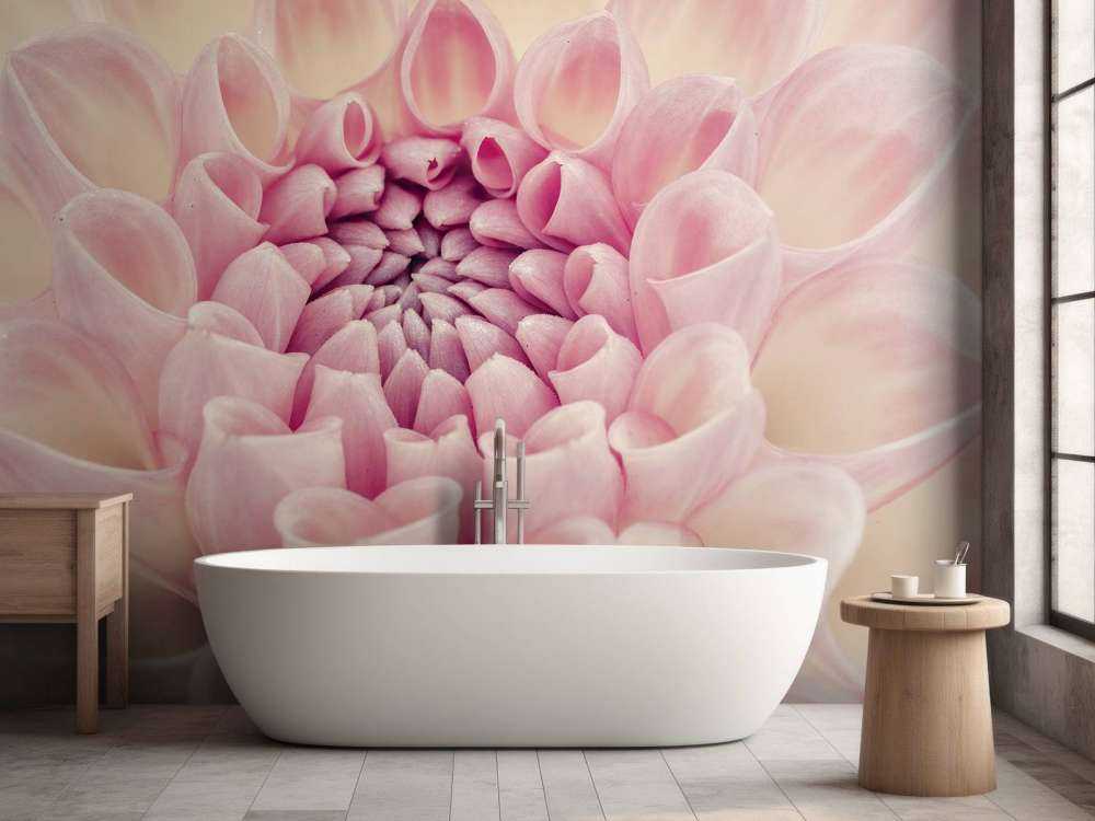 Dahlia close-up photo