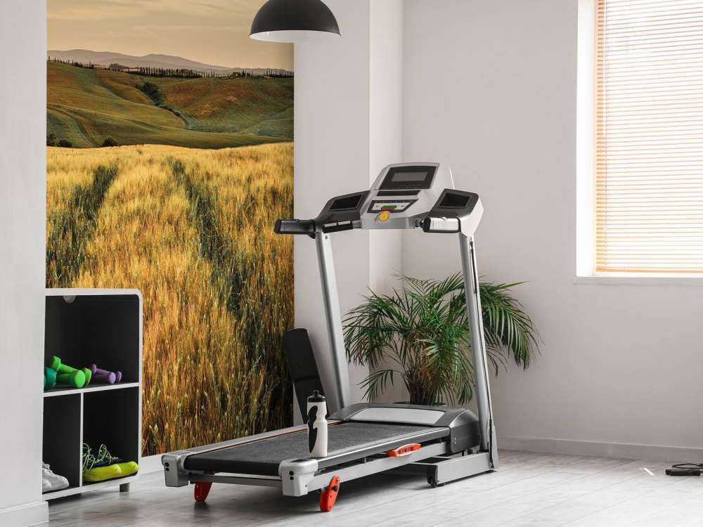 Grain field with tracks