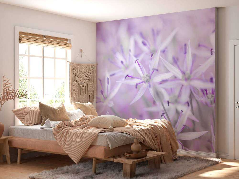 Close-up allium flowers