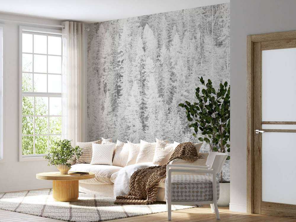 Conifers in black and white