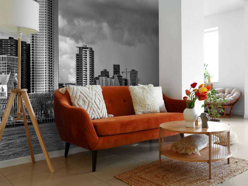 Skyline Rotterdam (Westerkade) from Katendrecht (black and white) 