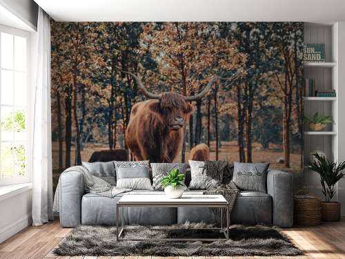 Scottish highlander at the edge of the forest