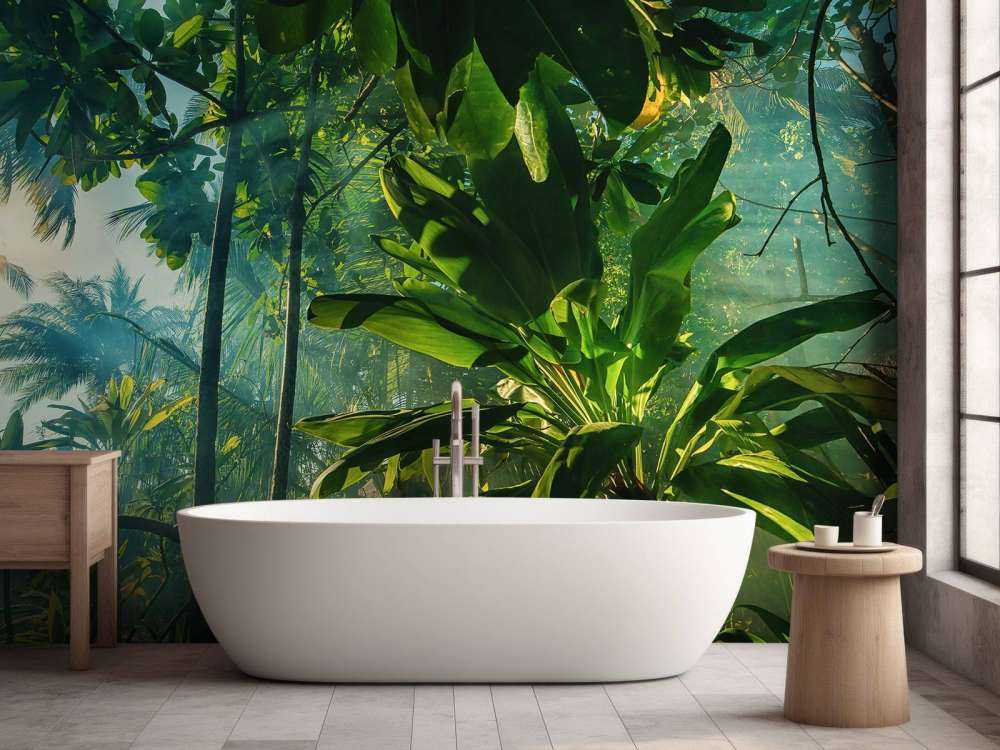 Mysterious jungle