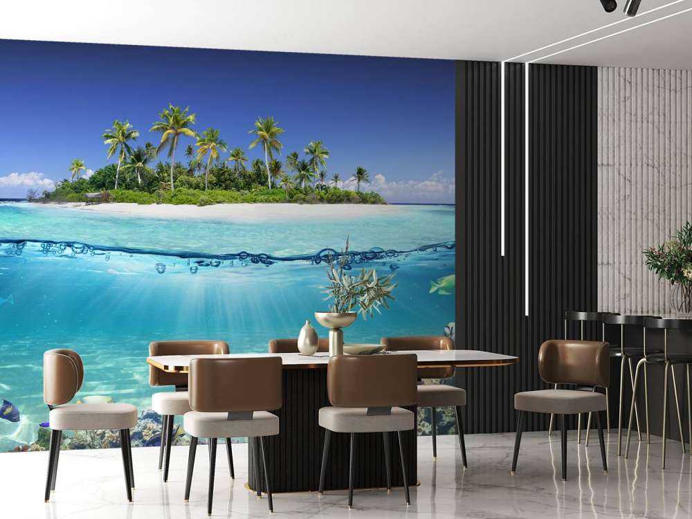 Tropical island and coral reef