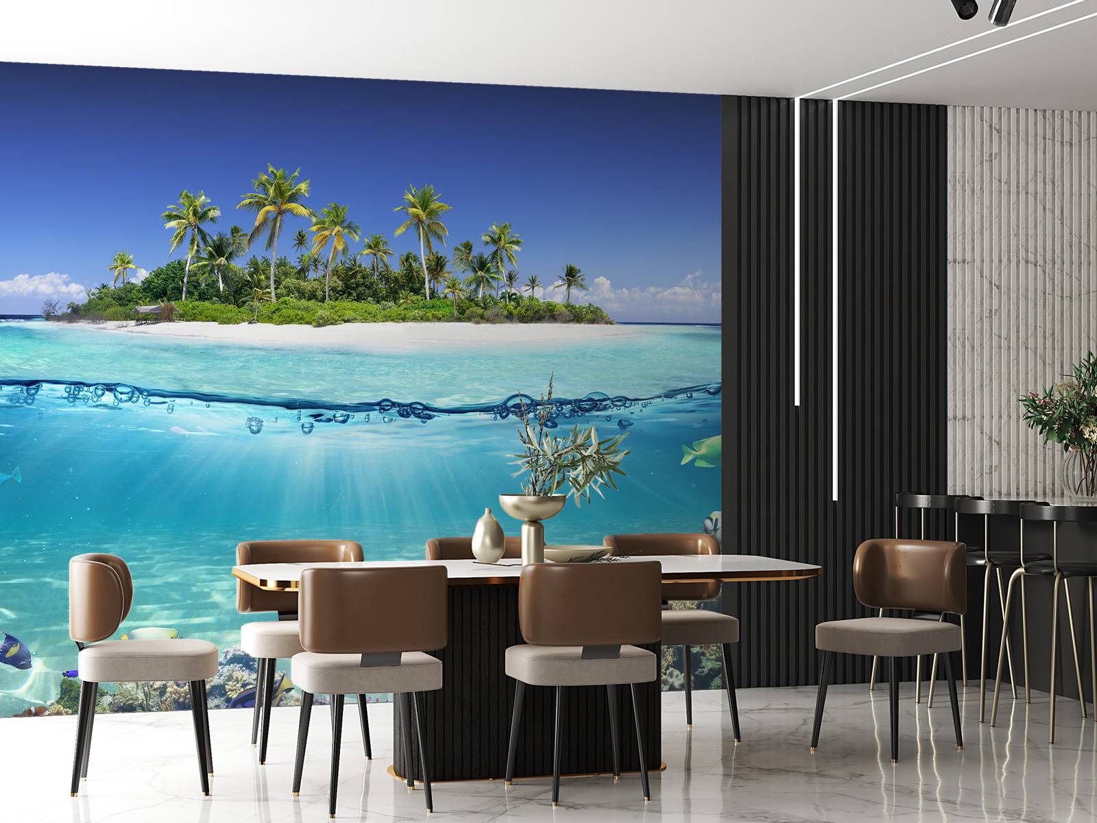 Tropical island and coral reef