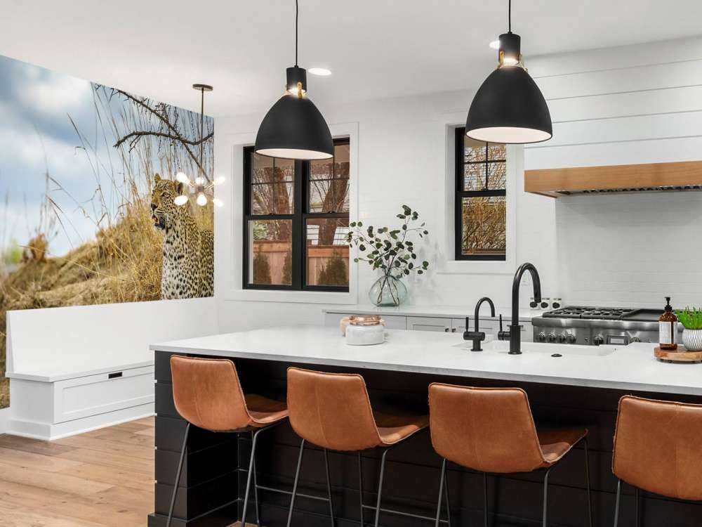 Leopard on the lookout