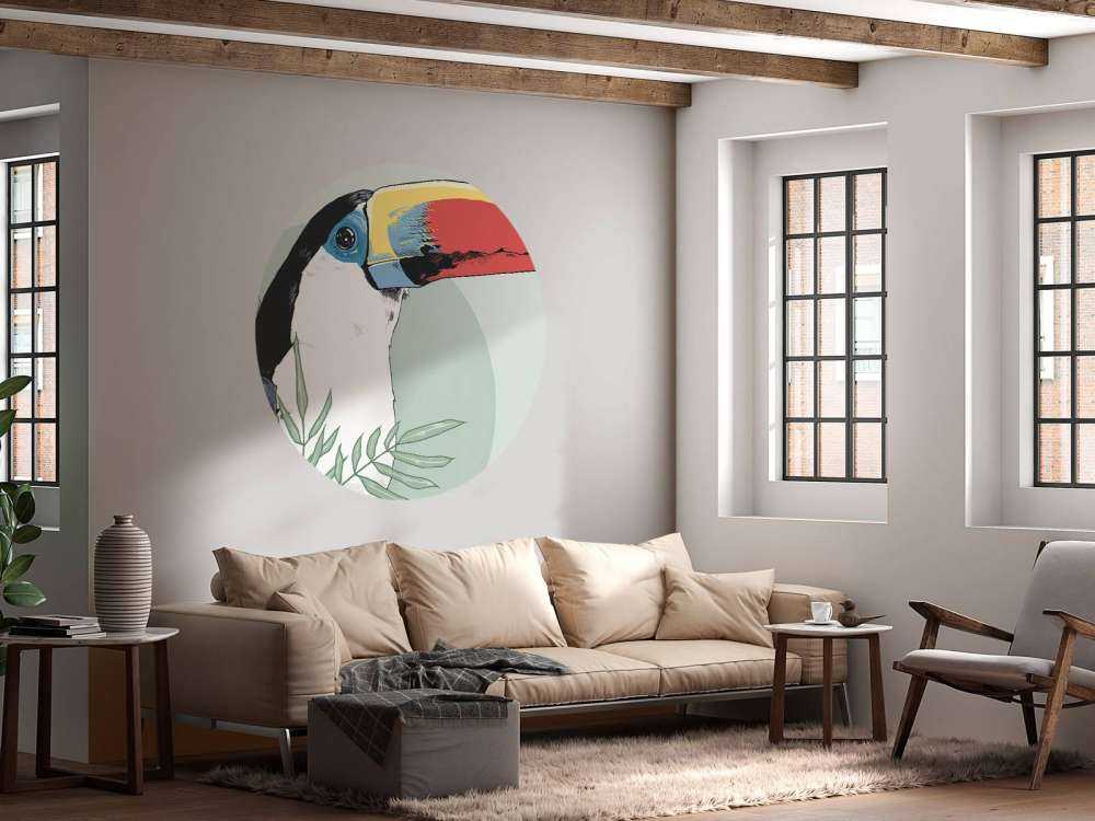 Coloured&#x20;toucan