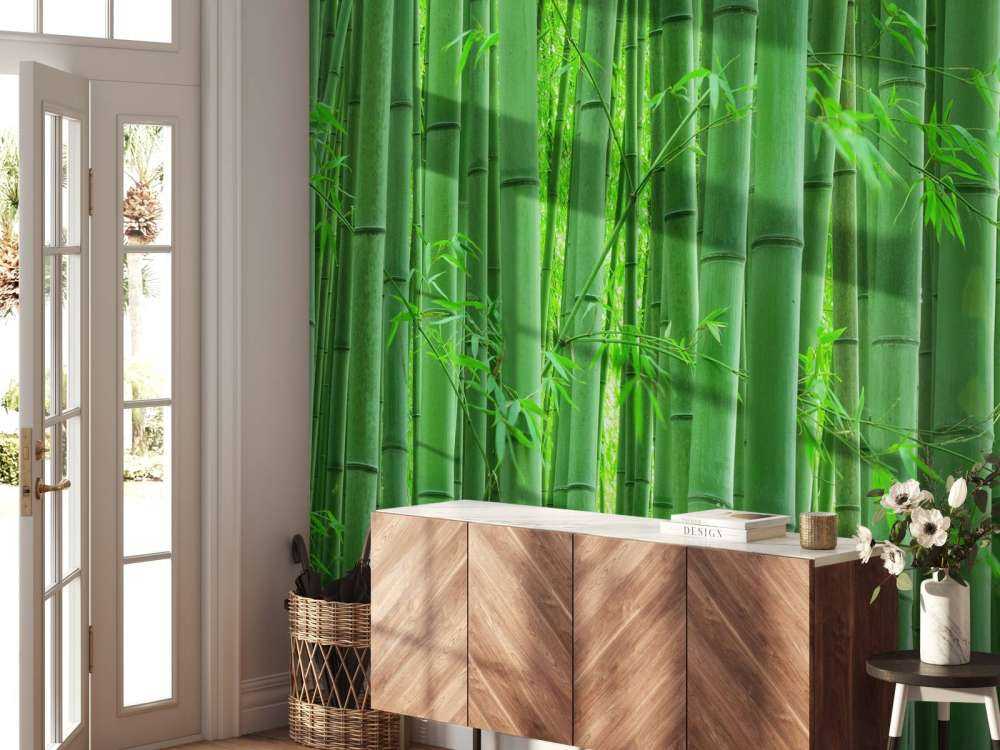 Closeup bamboo forest