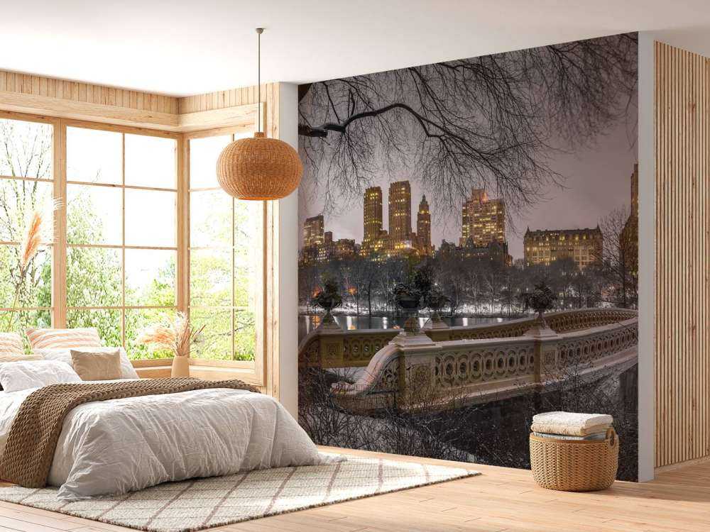 Central park and Manhattan