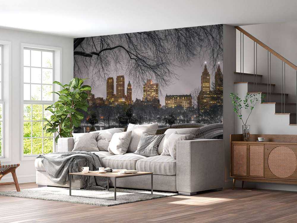 Central park and Manhattan