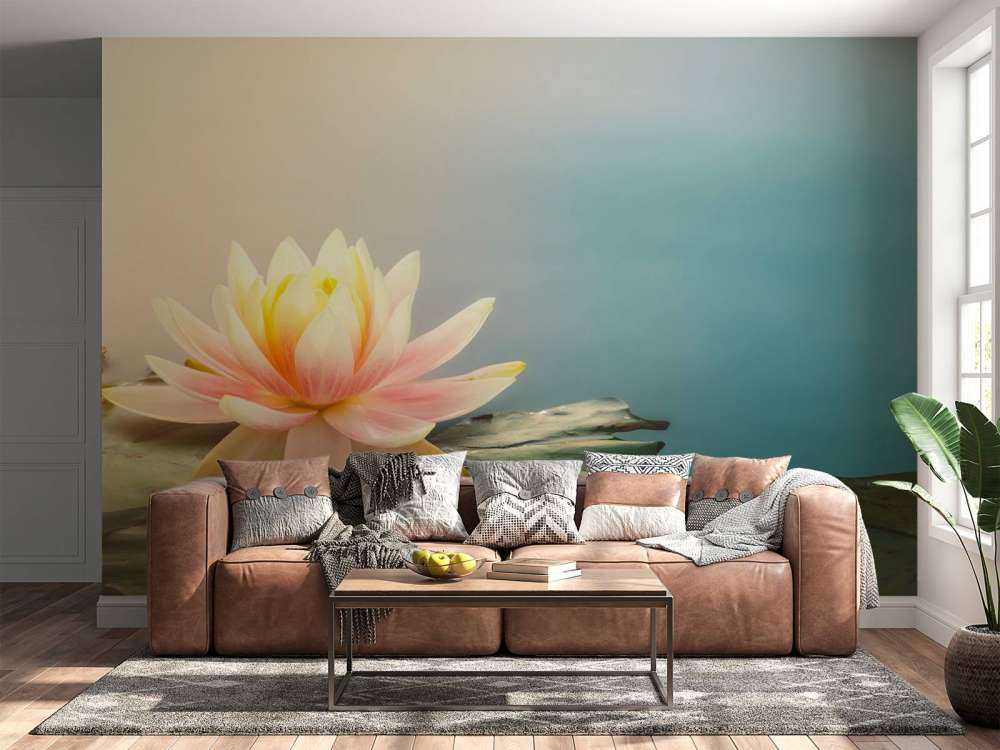 Pond with lotus flowers