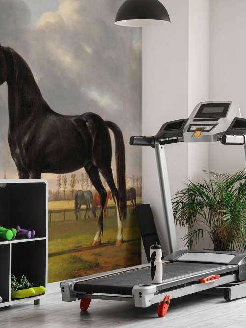 Photo wallpaper horse. The harddrawer De Vlugge