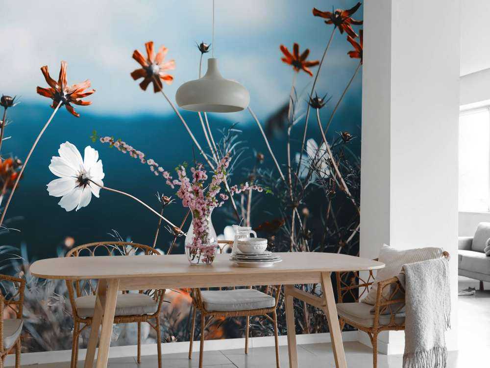 Cosmos flowers in the field