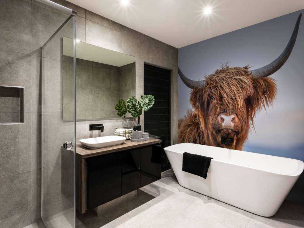 Staring Scottish Highlander