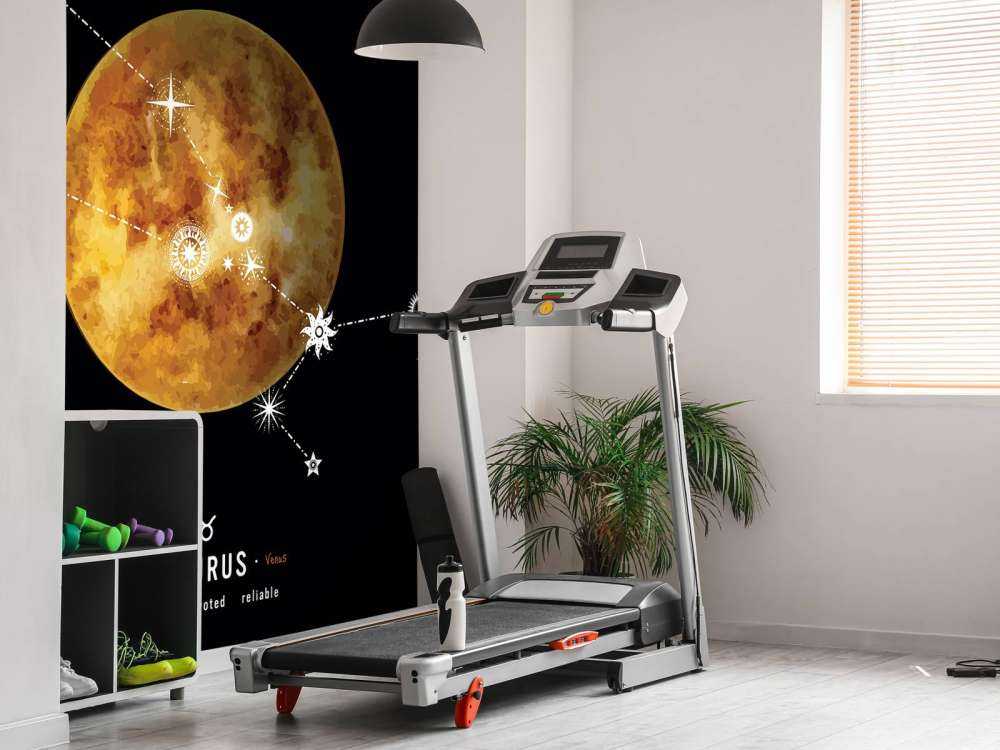 Constellation planet Taurus