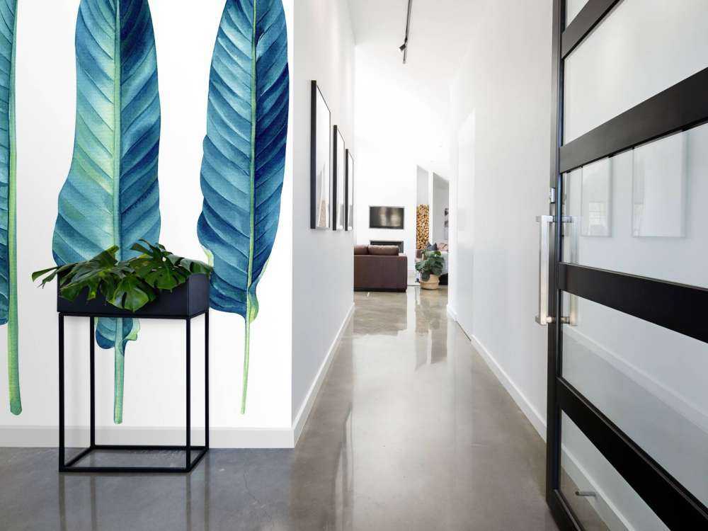 Tropical leaves on white background