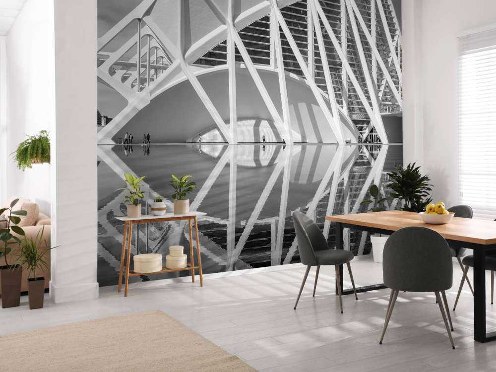 Science Museum - Museo las Ciencas Principe Felipe - Valencia